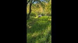 POV: You Don't Own a Lawn Tractor