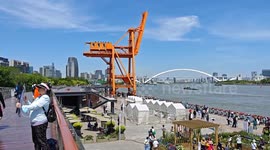China: 2024 International Flower Show in Shanghai