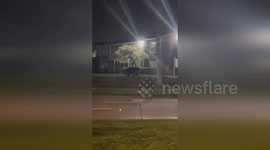 Black bear seen wandering through neighbourhood in Florida