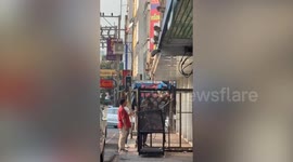 Monkeys rounded up and put in cages in Lopburi