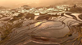 China: Yuanyang Rice Terraces at Sunrise in Honghe