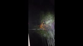 Tornado strikes Rogers, Arkansas