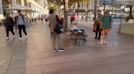 Macaw parrot spotted near Sydney Opera House