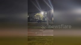 USA: Black Bear Sighting Prompts Alert in Tampa Neighborhood