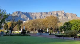 South Africa: Gardens Cape Town Table Mountain Green
