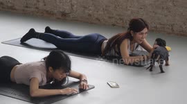 Puppy yoga! Class lets cuddly pet pooches run loose as women stretch