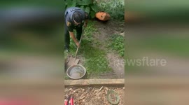 Police catch large python in Louisiana