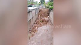 Flash flood sweeps tree branches down canal