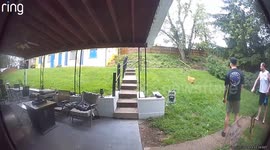 Security Camera Catches Dog Getting Stuck With Stick