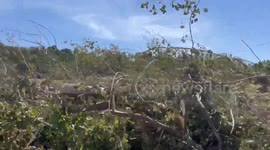 Severe Tornado Damage in Hopkins