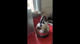 Mouse escapes from kettle spout while cat eats obliviously