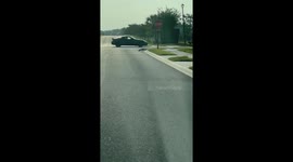 New Florida Resident Realizes She Lives Among Alligators