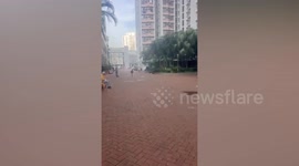 Escaped emu runs along roads in Hong Kong