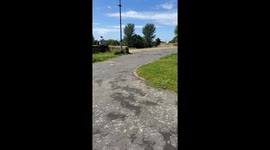 Cocker spaniel hilariously carries stick longer than her in mouth
