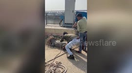 Officials catch 10-foot crocodile after it escapes canal in northern India