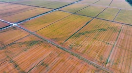 China: Chinese Agriculture