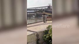 India: A 10-foot crocodile was saved from a barrage by officials