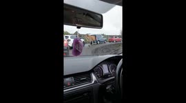 Eland antelope plucks food out of motorists' hands at safari park in UK