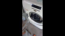 Dog caught sleeping in washing machine full of clothes