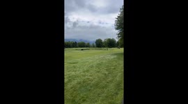 Black Bear Approaches Canadian Golfers