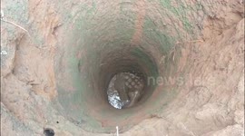 Heroic Rescue: Elephant Calf Saved from 30-Foot Well in Nilgiris After 11-Hour Operation