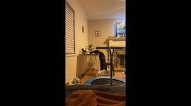 Determined dog stretches to lick bowl full of ranch in Ohio