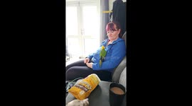 Parrot Feeds Owner For a Pre-Chewed Treat