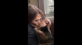 Possessive Cat Tells Owner's Girlfriend to Back Off