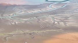 China: Tidal Tree Landscape in Yancheng