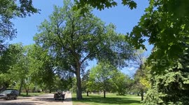 Summer Day in North Platte