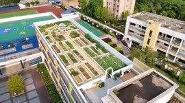 China: Sky Vegetable Garden in Nanning