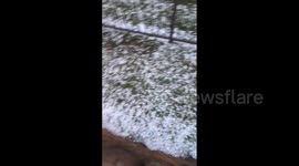 US: Memorial Day Storms Bring Large Hail To Dallas–Fort Worth 9