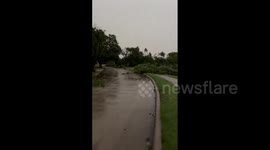 US: Powerful Storms Bring Hurricane-Force Winds To Dallas, Causing Widespread Power Outages 2