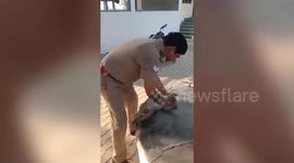 Police officer saves monkey with CPR amidst intense heat in northern India