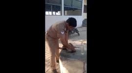 Police officer resuscitates lifeless monkey that fell unconscious due to record-breaking heat in india