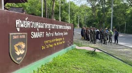 Police continue search for escaped kangaroo in northern Thailand