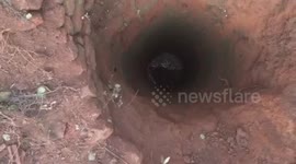 Baby elephant rescued from sand well, reunited with mother in Tamil Nadu, South India