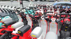 China: Electric Bicycle Industry