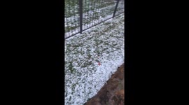 Massive hailstorm shatters windows in Mansfield, Texas