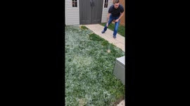 Cottonwood Fluff Burned Off Lawn
