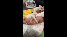 Parents use clever pillow technique to feed triplets in Oklahoma