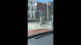 Bees Swarm Bicycle
