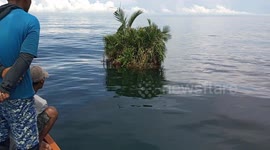 Fishermen come across 'world's smallest island' measuring just 2x2 metres in open ocean