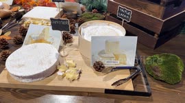 Bon Fromage Festival in Sydney, Australia