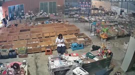Wild monkey terrorises girls at second hand store