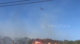 USA: Firefighters Battle Blaze Threatening Homes and Wildlife