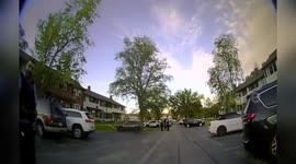 USA: Police Officer Attacked by Dragonfly in Bizarre Encounter