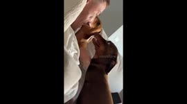 Dog gets jealous while sharing attention with sibling