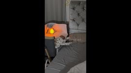 Adorable tiny tot displays tiny kicks in sleep