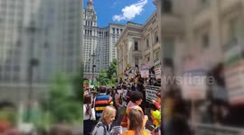 USA: NYC Students Protest For Palestine